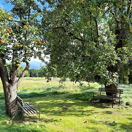 شقة Nature Moosbett