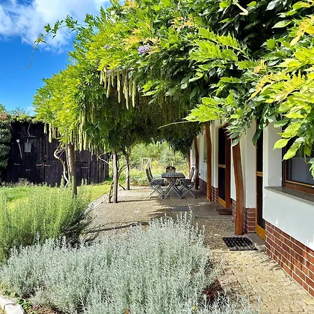 Nature Moosbett Kolonie (Spree-Neisse)