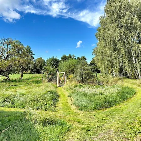 Nature Moosbett شقة Kolonie (Spree-Neisse)