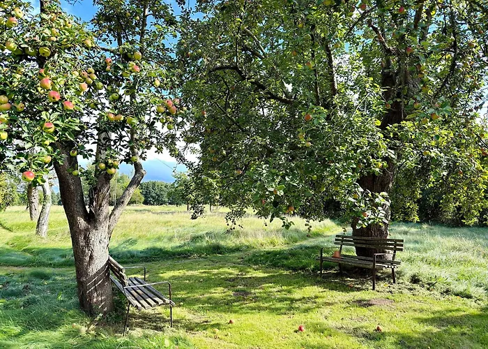 شقة Nature Moosbett