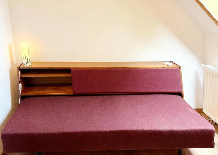 Nature Moosbett Kolonie (Spree-Neisse)